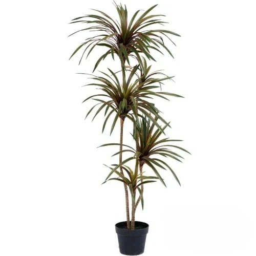Dracaena Marginata - ต้นไม้ประดิษฐ์สีสันสดใส ต้นดรากีน่า มาร์จินาตา ต้นบอนไซสีเขียว ตกแต่งภายในอาคาร ตั้งพื้น