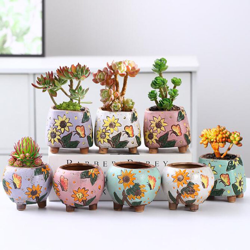 กระถางต้นไม้ลายดอกทานตะวันสไตล - Echeveria Succulent บทวิจารณ์และราคา
