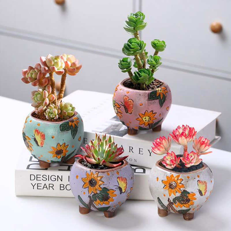 กระถางต้นไม้ลายดอกทานตะวันสไตล - Echeveria Succulent บทวิจารณ์และราคา