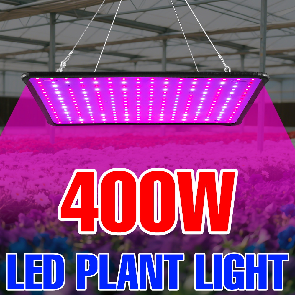 ไฟปลูกต้นไม้ LED 400W สเปกตรัม - Echeveria Succulent บทวิจารณ์และราคา
