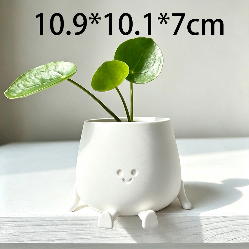 กระถางต้นไม้ลายหน้ายิ้มน่ารักพ - Echeveria Succulent บทวิจารณ์และราคา