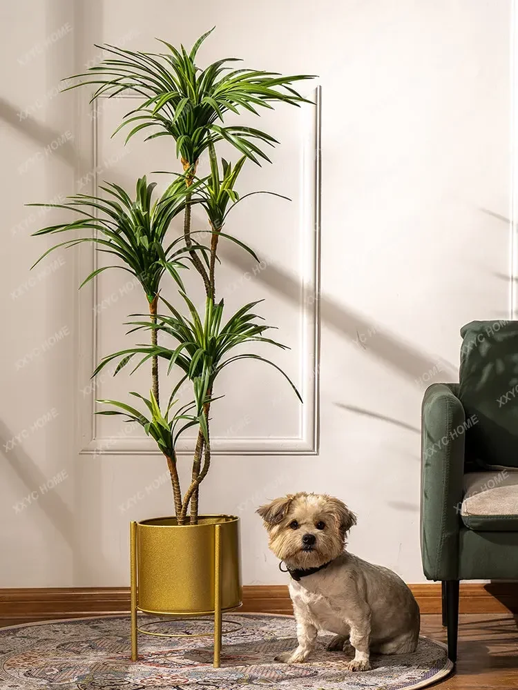 ต้นไม้ประดิษฐ์สีสันสดใส ต้นดรา - Dracaena Marginata บทวิจารณ์และราคา