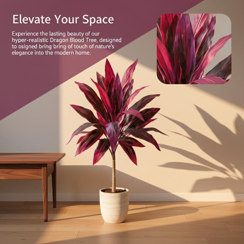ต้นดรากีน่ามาร์จินาตาต้าประดิษ - Dracaena Marginata บทวิจารณ์และราคา