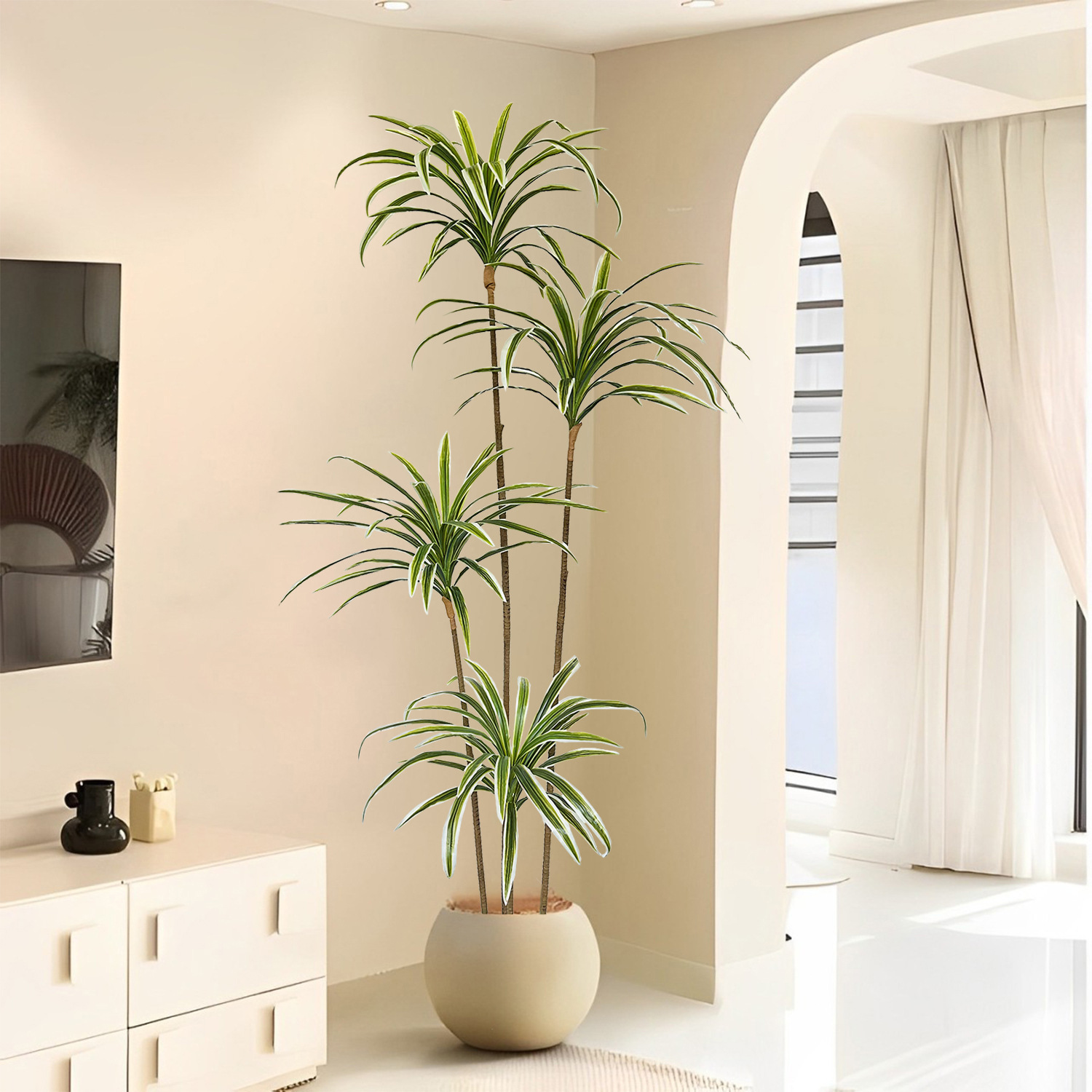 ต้นไม้ประดิษฐ์ดราเซนา มาร์จินา - Dracaena Marginata บทวิจารณ์และราคา