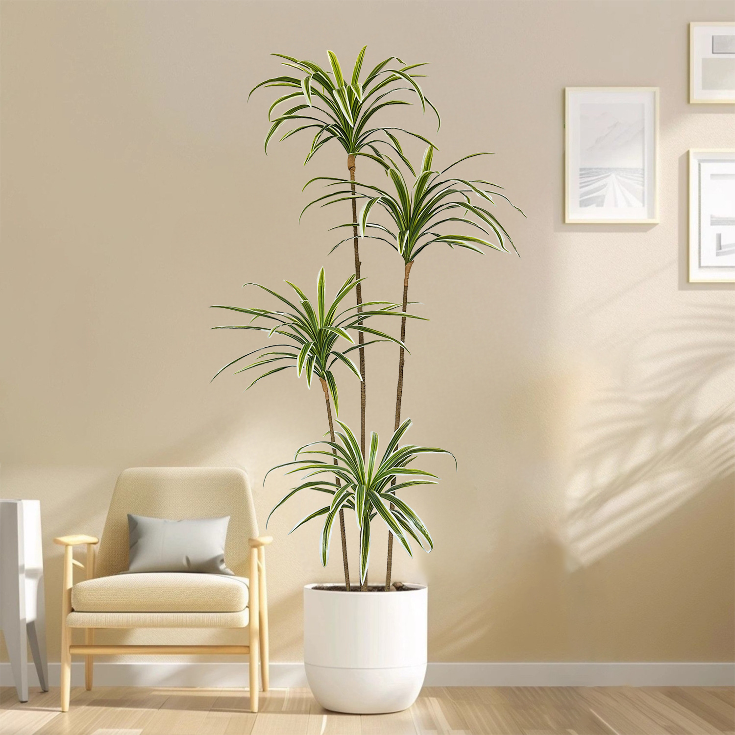 ต้นไม้ประดิษฐ์ดราเซนา มาร์จินา - Dracaena Marginata บทวิจารณ์และราคา
