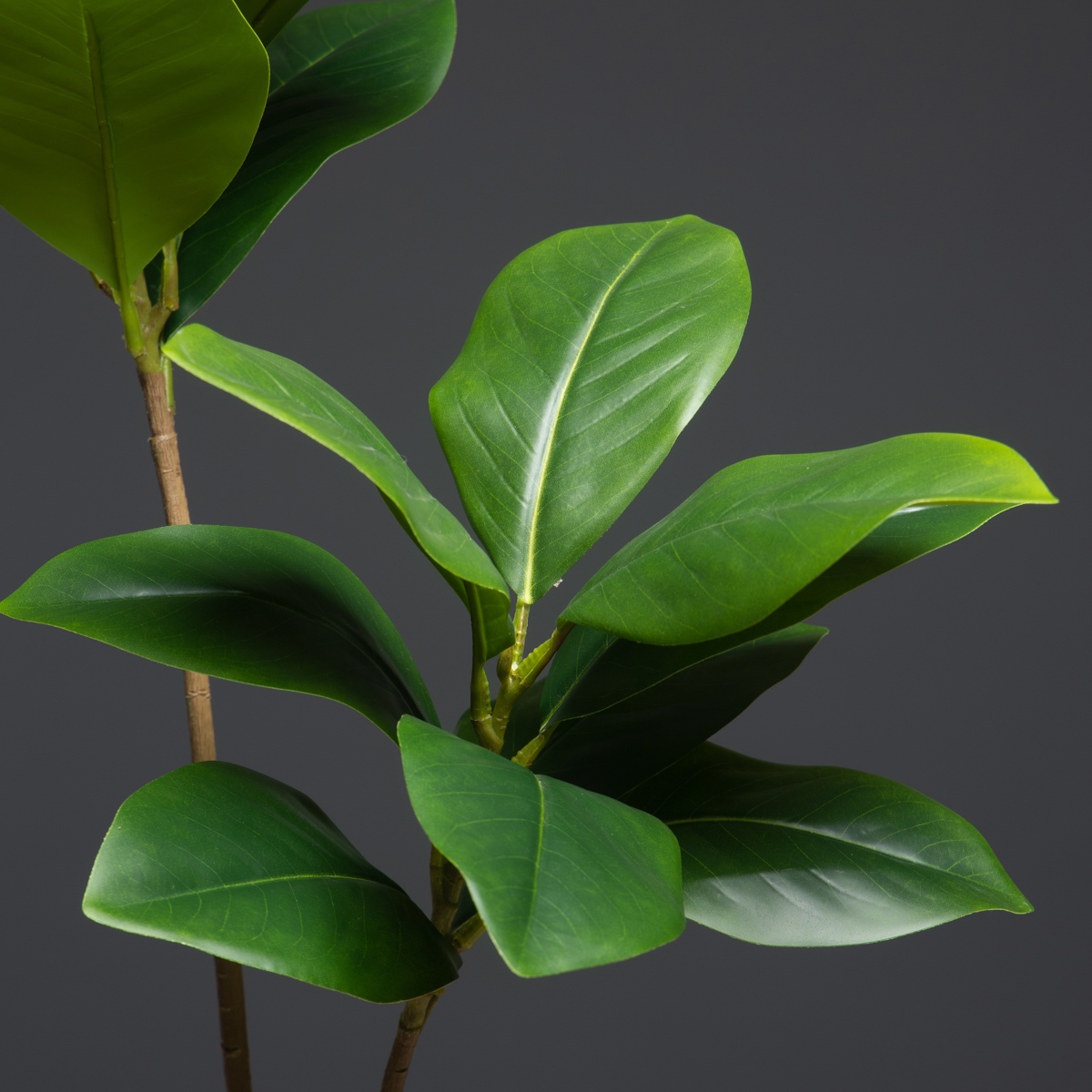 105 ซม.2 ส้อมขนาดใหญ่พืชประดิษ - Dracaena Marginata บทวิจารณ์และราคา